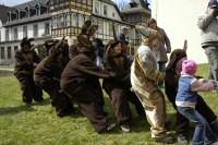 Osterhasen beim Tauziehen