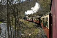 Ostersonderzug im Selketal