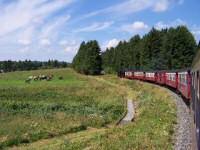 Zug vor Benneckenstein