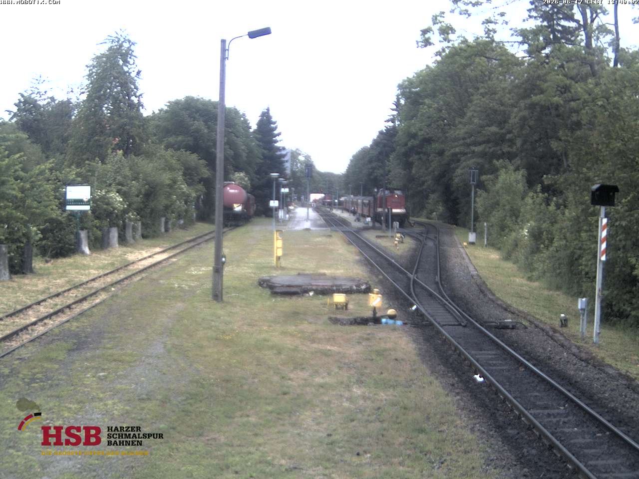 WebCam-Foto